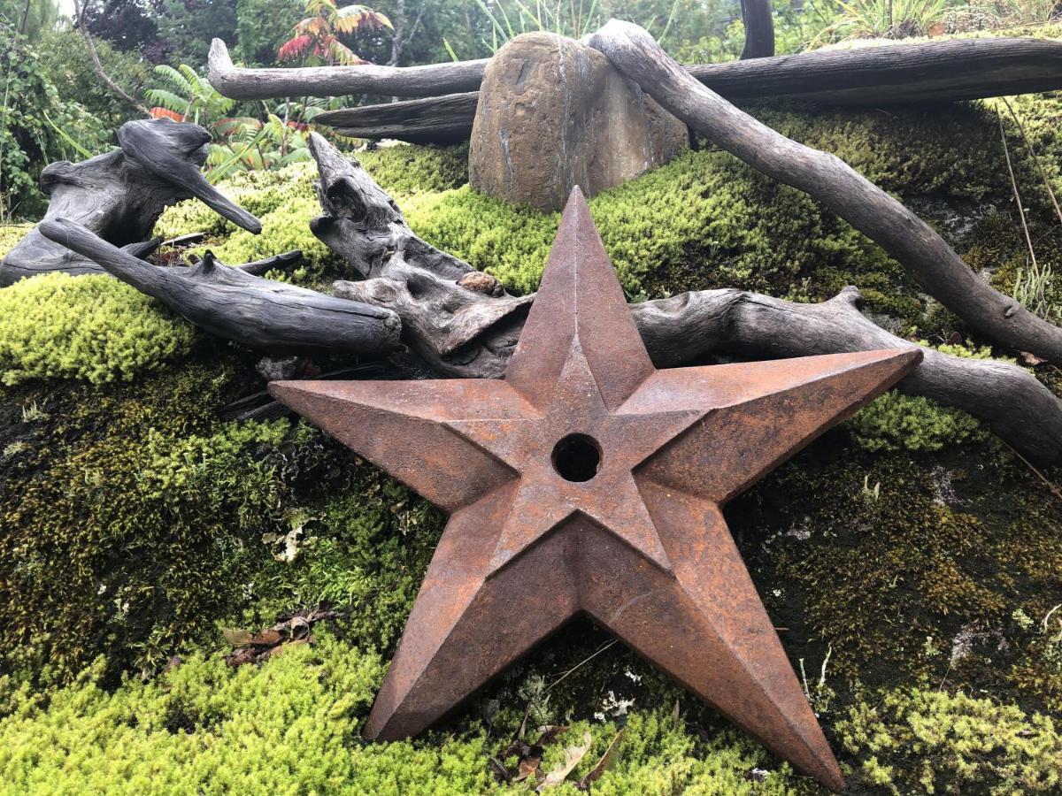Morning Star Log Cabin Nelson Buitenkant foto
