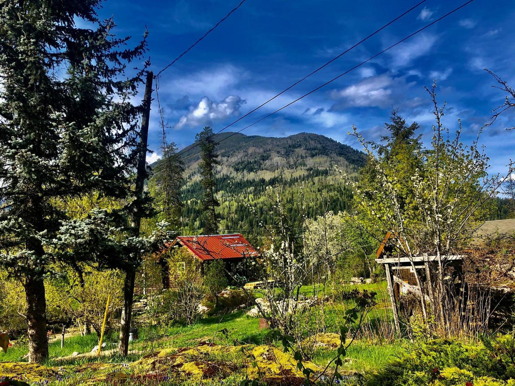 Morning Star Log Cabin Nelson Buitenkant foto