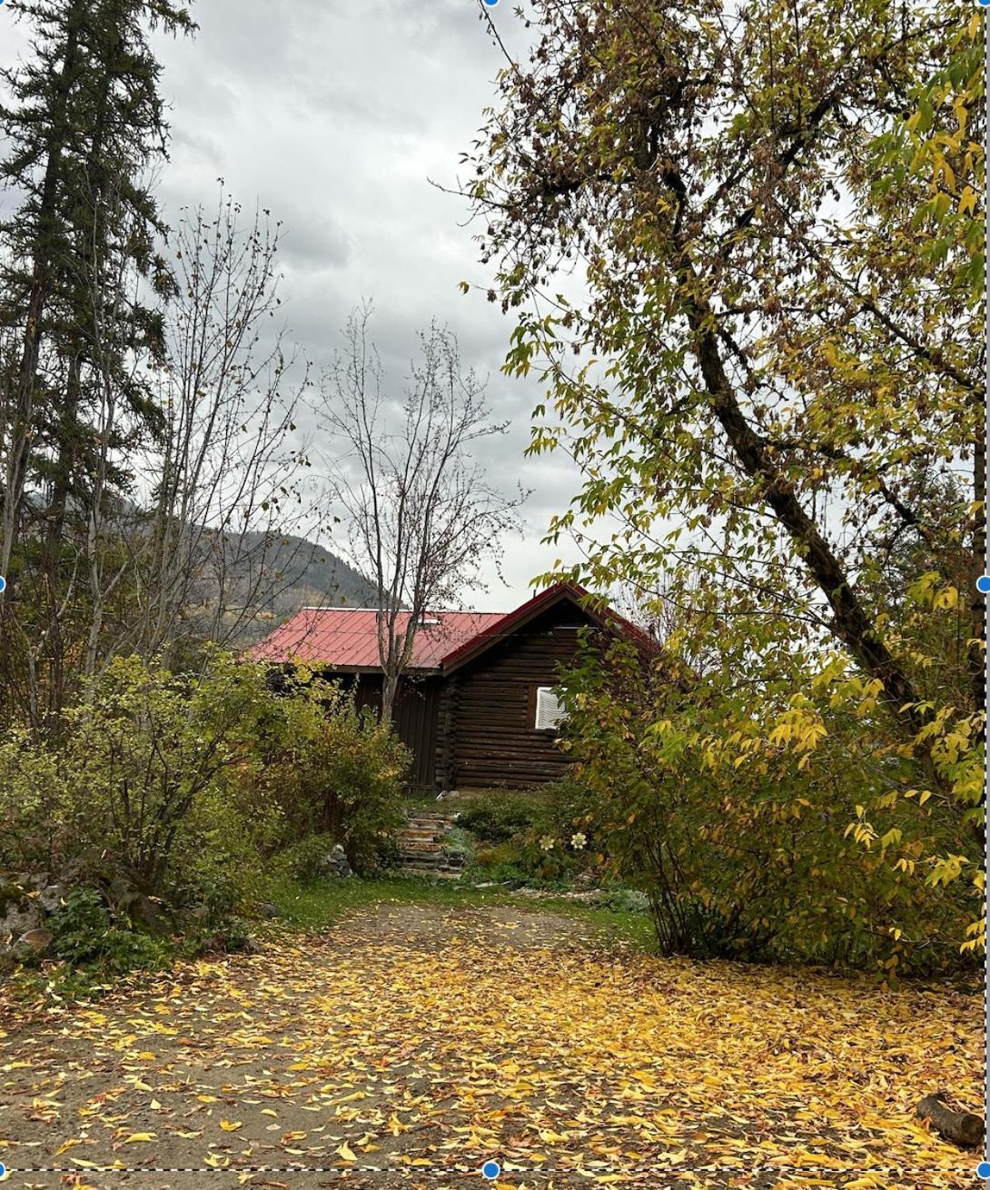 Morning Star Log Cabin Nelson Kamer foto